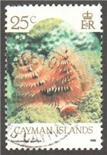 Cayman Islands Scott 566 Used